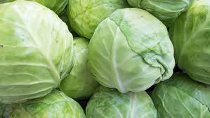 Cabbages